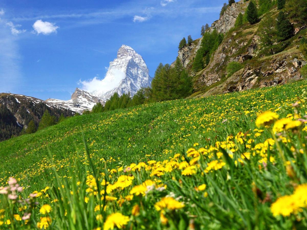 Apartment Lauberhaus By Interhome Zermatt Ngoại thất bức ảnh