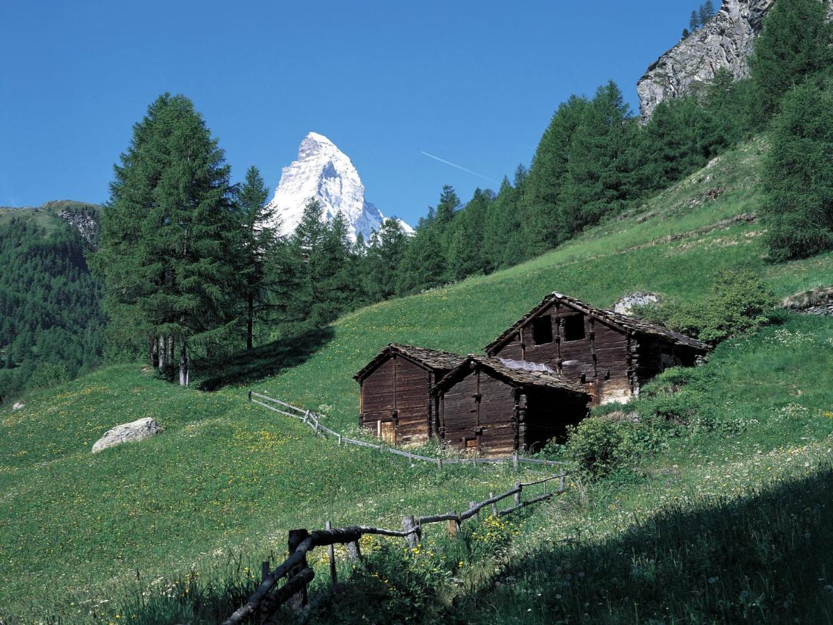 Apartment Lauberhaus By Interhome Zermatt Ngoại thất bức ảnh